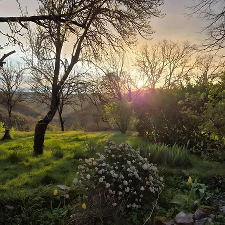 Lou Bas - La Framie *